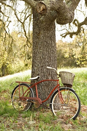 Picture of GO BY BIKE II