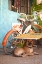 Picture of A DOGS LIFE IV