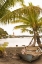 Picture of TROPICAL OASIS III
