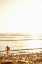 Picture of TROPICAL OASIS VI