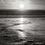 Picture of GOLDEN SUNSET SQ II BW
