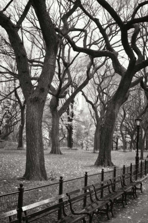 Picture of CENTRAL PARK DANCERS I