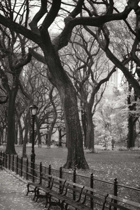 Picture of CENTRAL PARK DANCERS II