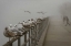 Picture of SEAGUL PARADISE III