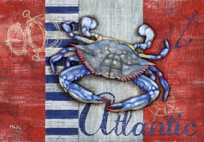 Picture of MARITIME CRAB