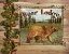 Picture of FOREST COLLAGE I