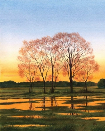 Picture of MARSH AT DUSK I