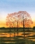 Picture of MARSH AT DUSK I
