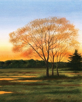 Picture of MARSH AT DUSK II