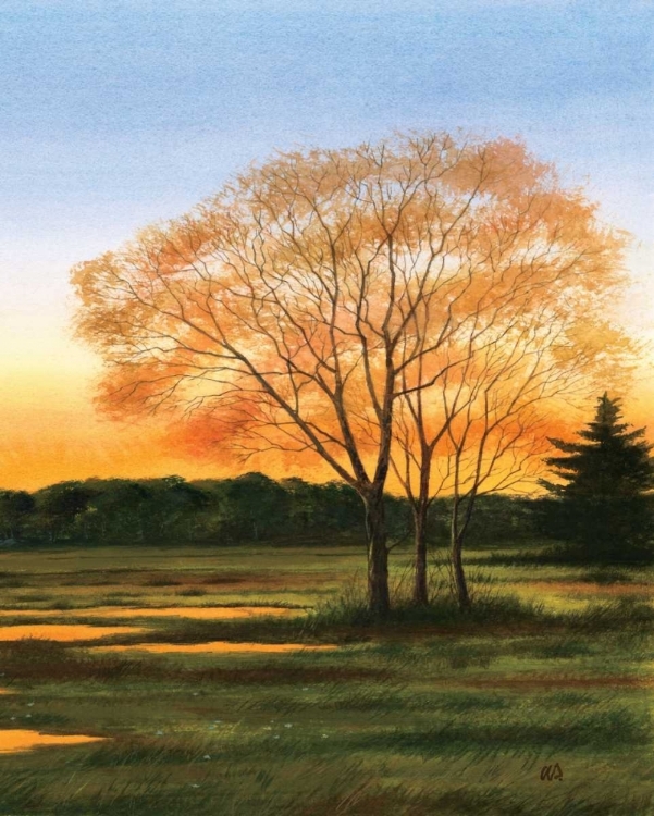 Picture of MARSH AT DUSK II