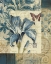 Picture of BLUE MOODS LILY