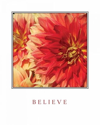 Picture of BELIEVE FLOWERS