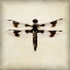 Picture of DRAGONFLY II