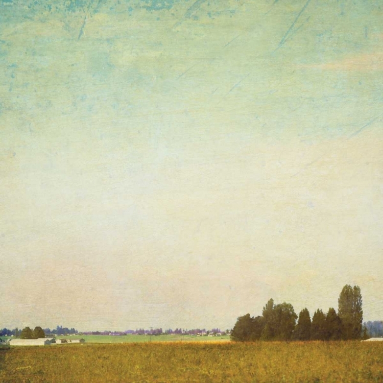 Picture of SPRING LANDSCAPE II