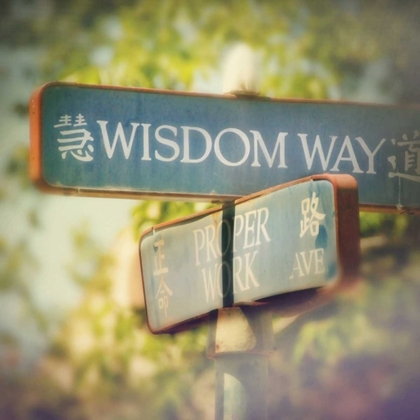 Picture of WISDOM