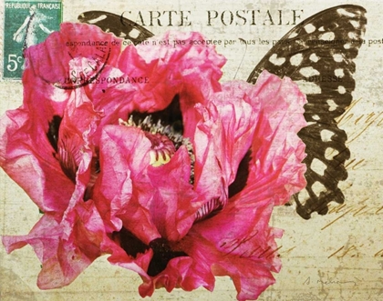 Picture of CARTE POSTALE POPPY