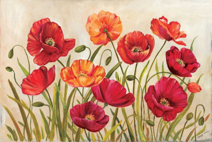 Picture of POPPIES