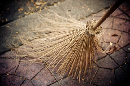 Picture of THAI BROOM I