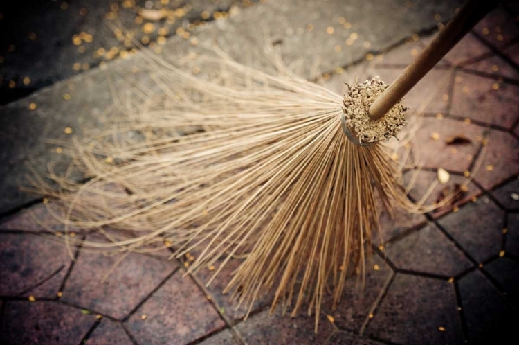 Picture of THAI BROOM I