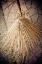 Picture of THAI BROOM II