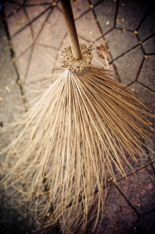 Picture of THAI BROOM II