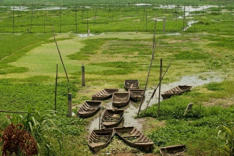 Picture of BOATS I