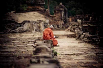 Picture of ELEPHANT TERRACE I