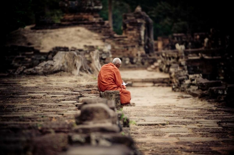 Picture of ELEPHANT TERRACE I