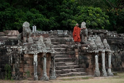 Picture of ELEPHANT TERRACE II