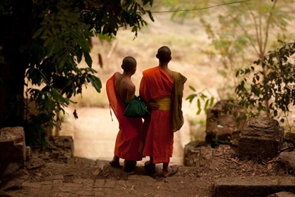 Picture of YOUNG MONKS