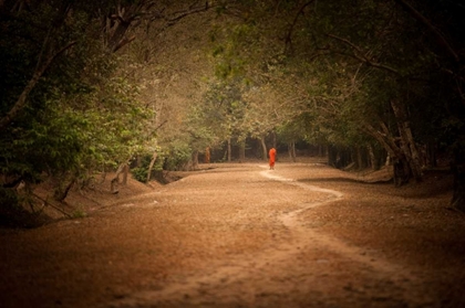 Picture of MONK ON PATH