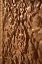 Picture of CARVING DETAIL