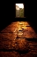 Picture of MORNING LIGHT II