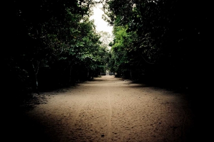 Picture of PATHWAY AT PREAH KHAN