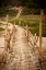 Picture of BAMBOO BRIDGE