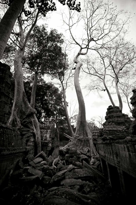 Picture of ANCIENT TA PROHM I