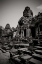 Picture of THE BAYON BW I