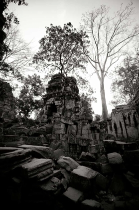 Picture of ANCIENT TA PROHM I