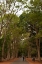 Picture of ROAD TO ANGKOR