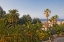 Picture of FRENCH RIVIERA II
