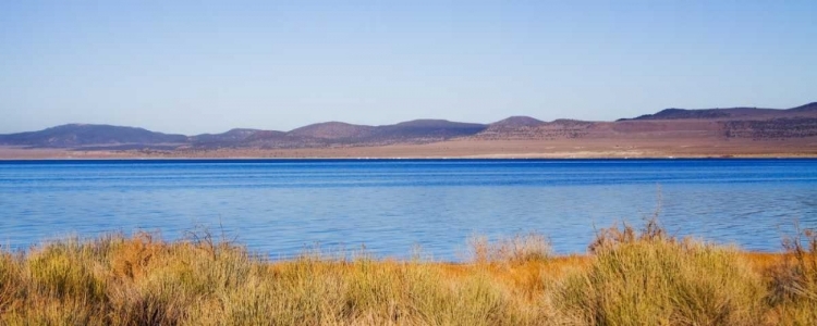 Picture of DESERT LAKE I
