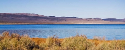 Picture of DESERT LAKE II