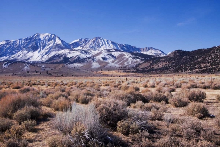 Picture of EASTERN SIERRA I