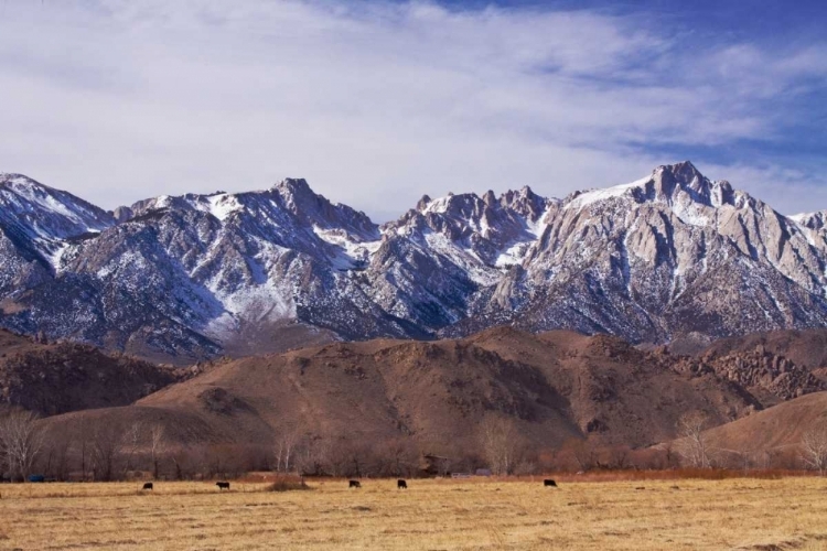 Picture of MT. WHITNEY RANGE II