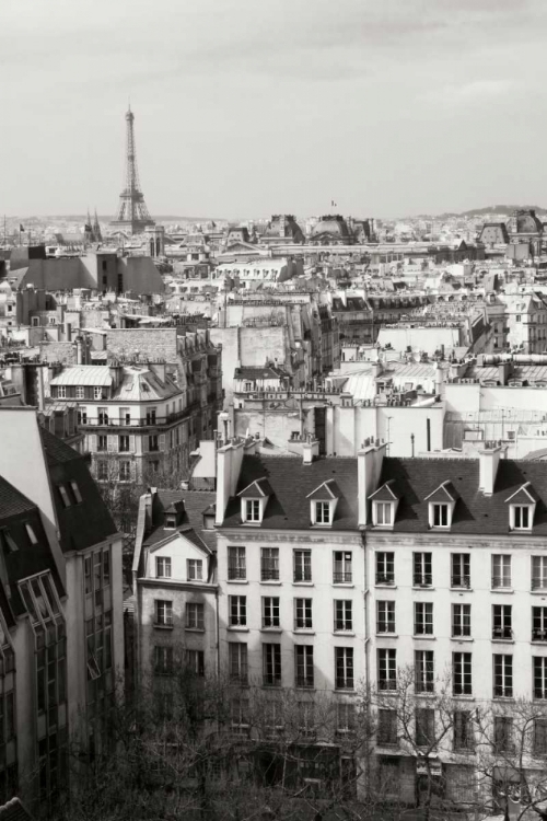 Picture of PARIS ROOFTOPS VI