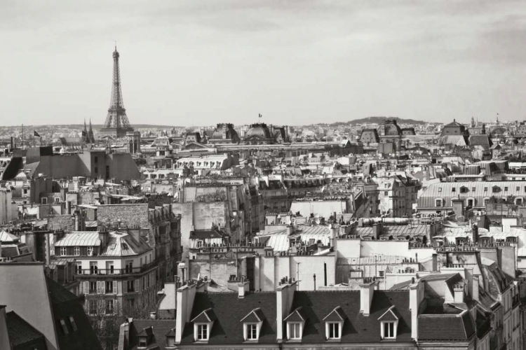 Picture of PARIS ROOFTOPS VIII