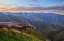 Picture of PASTEL IN NATURE I