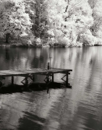 Picture of MINT SPRINGS LAKE BW V