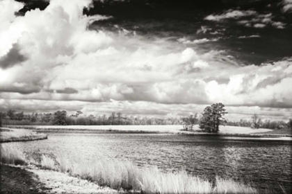 Picture of SHEARON LAKE III