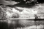 Picture of SHEARON LAKE IV